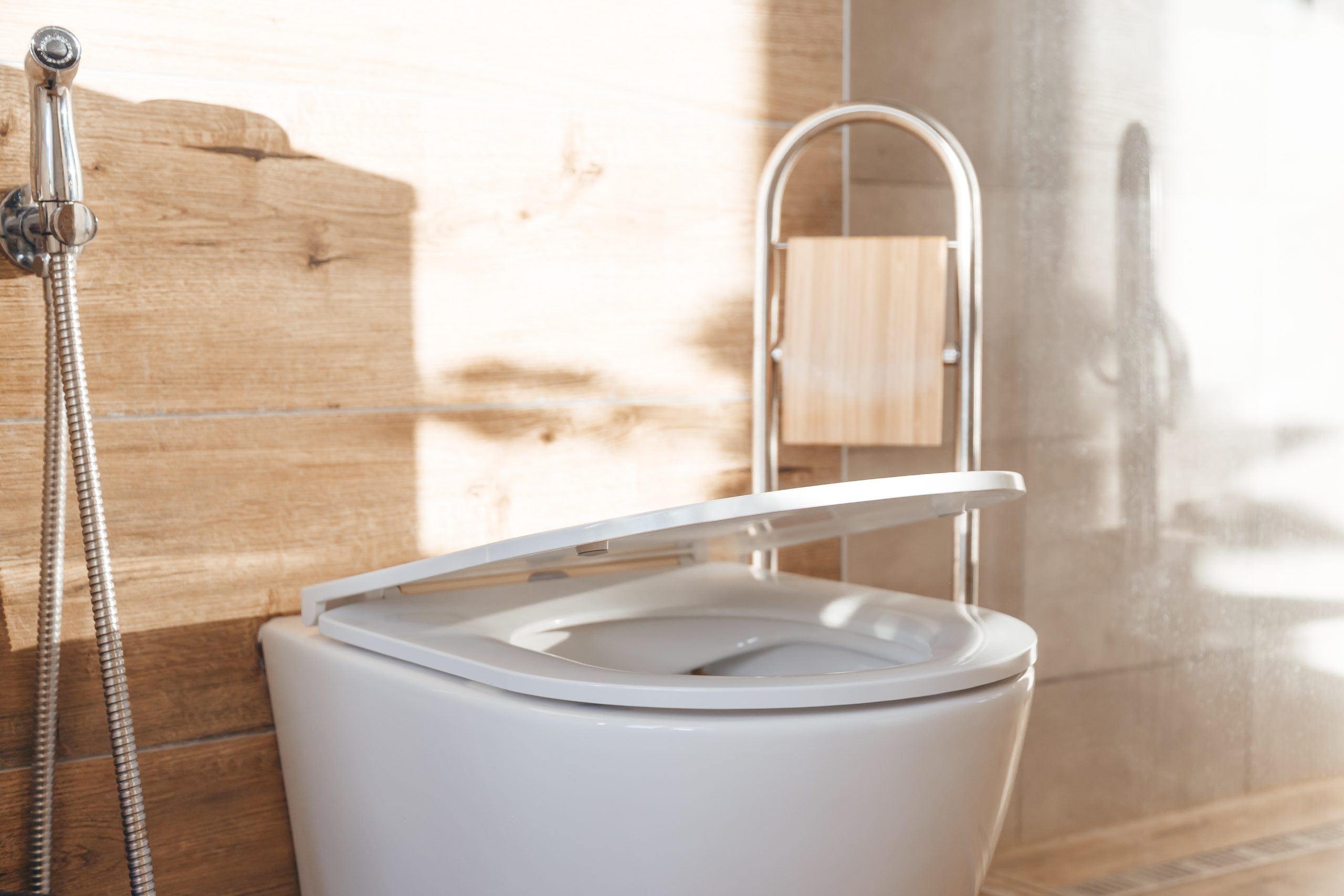 Toilet Safety Rails for Seniors: Adding Stability to Your Daily Routine