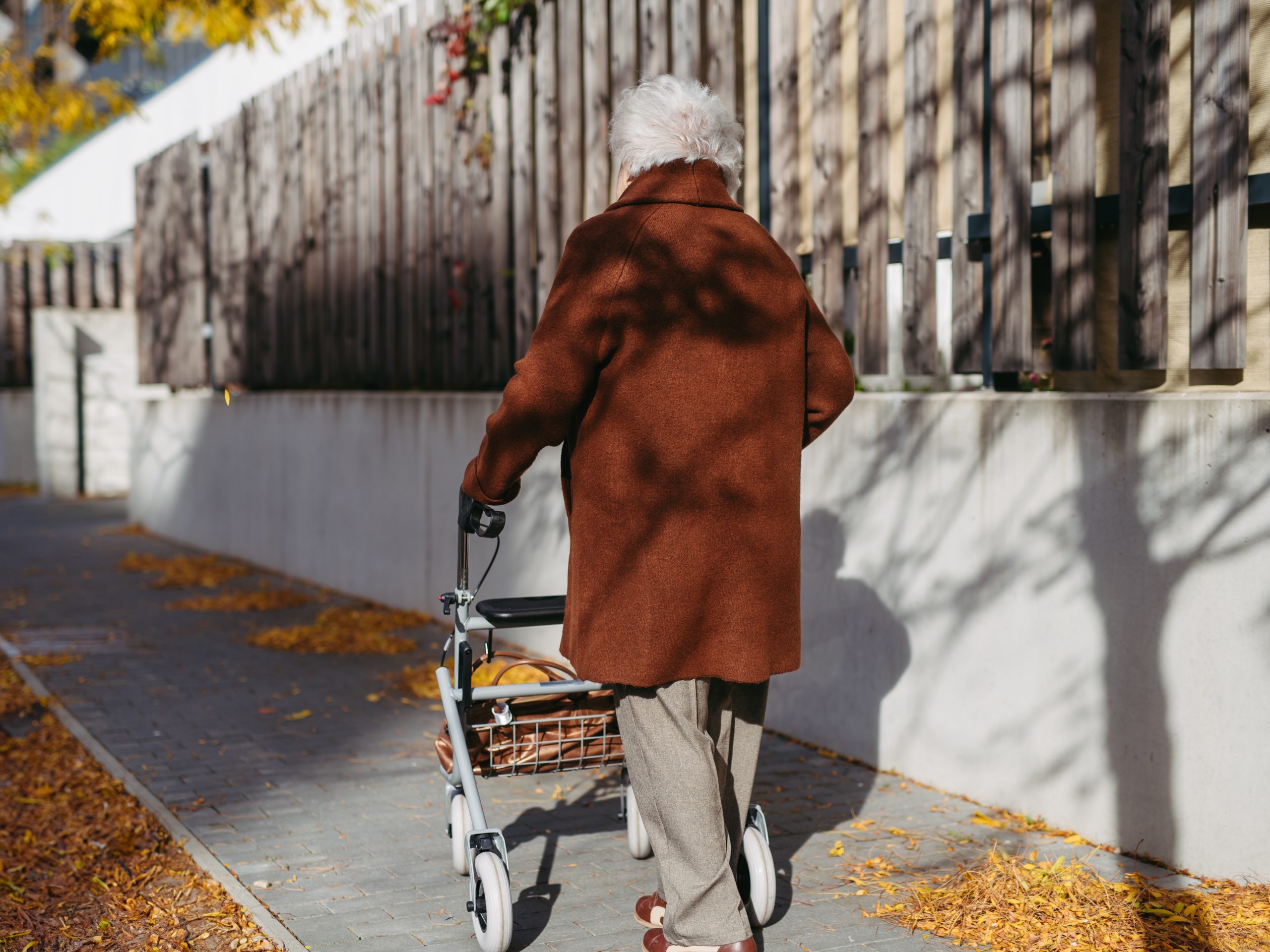 Best Walkers for Seniors in 2026: The Ultimate Safety Guide